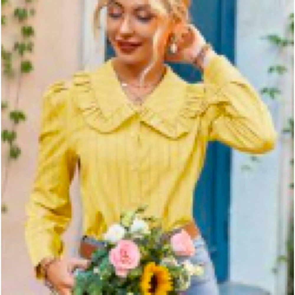 NWT button down blouse